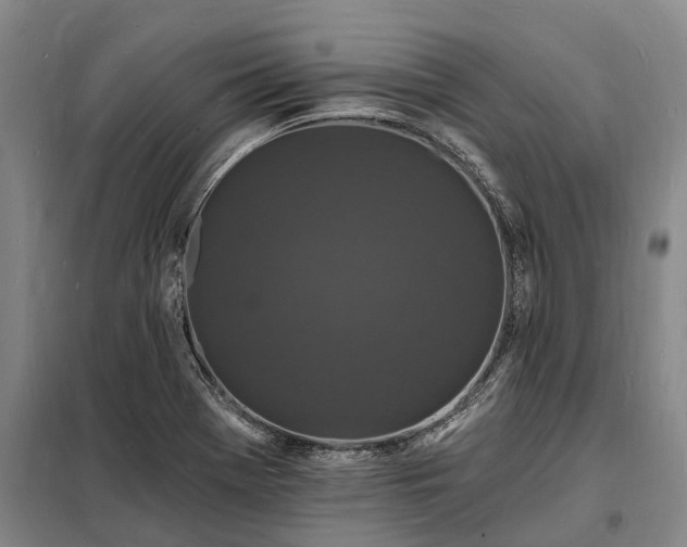 X0000098231369200805011248