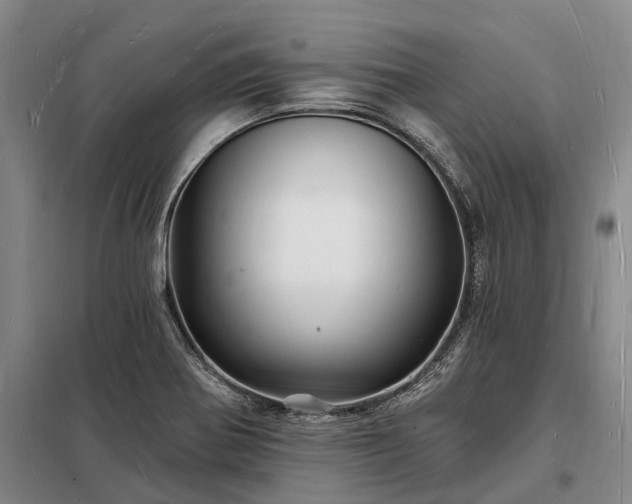 X0000098231370200805011248