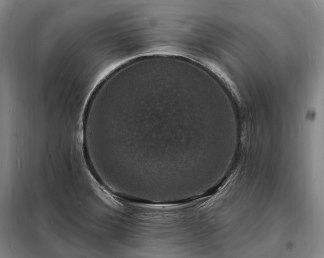 X0000098231372200805011247