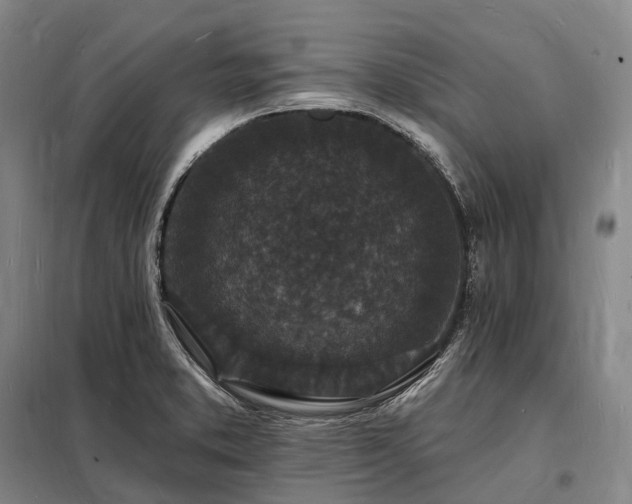 X0000098231373200805011247