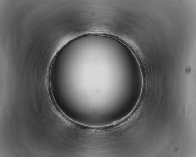 X0000098231374200805011247