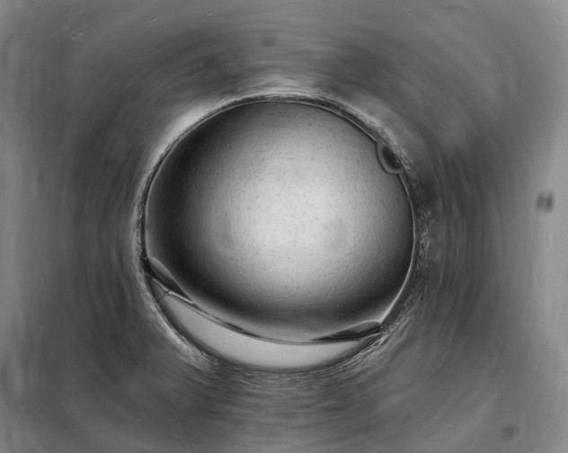 X0000098231375200805011247