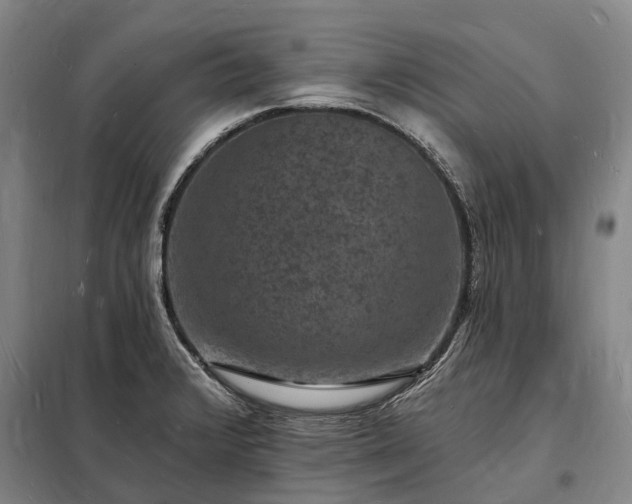 X0000098231376200805011247