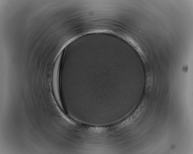 X0000098231377200805011247