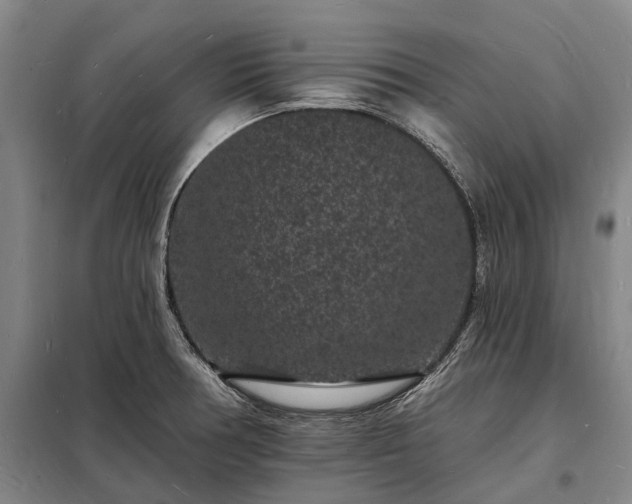 X0000098231378200805011247