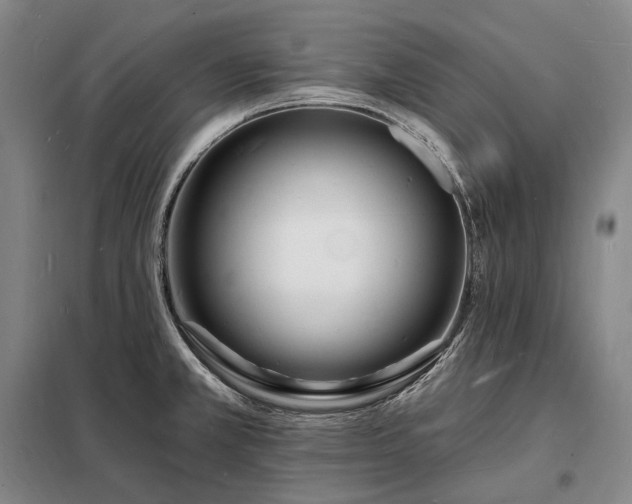 X0000098231381200805011247