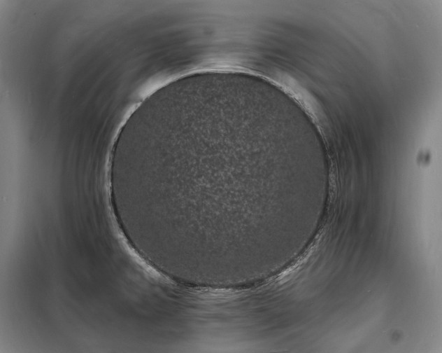 X0000098231382200805011247