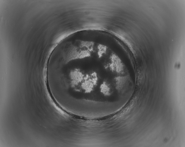 X0000098231383200805011247