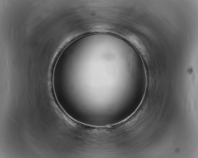 X0000098231384200805011247