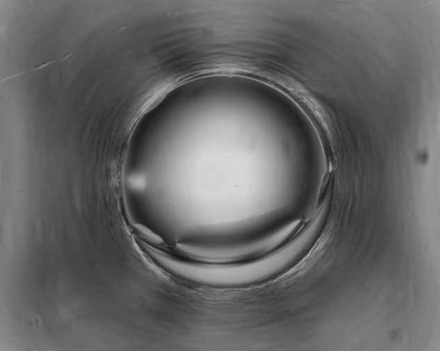 X0000098231385200805011247