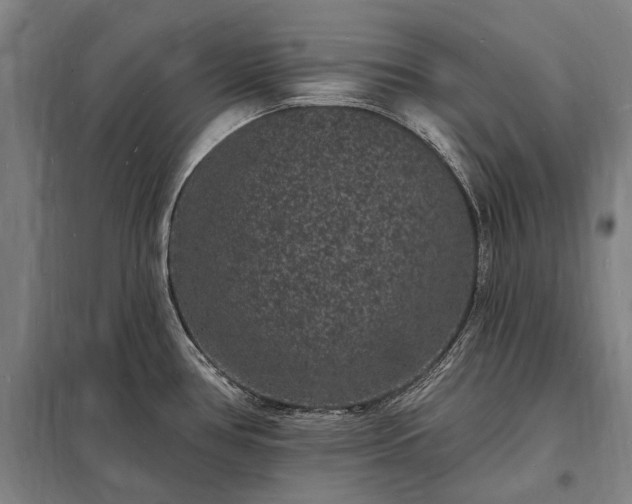 X0000098231386200805011247