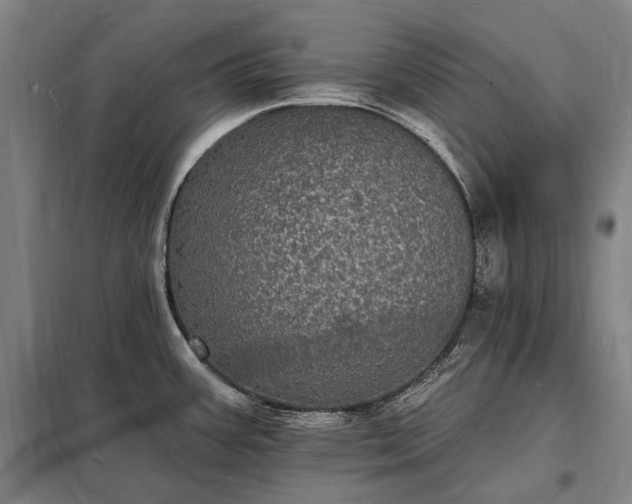 X0000098231387200805011247