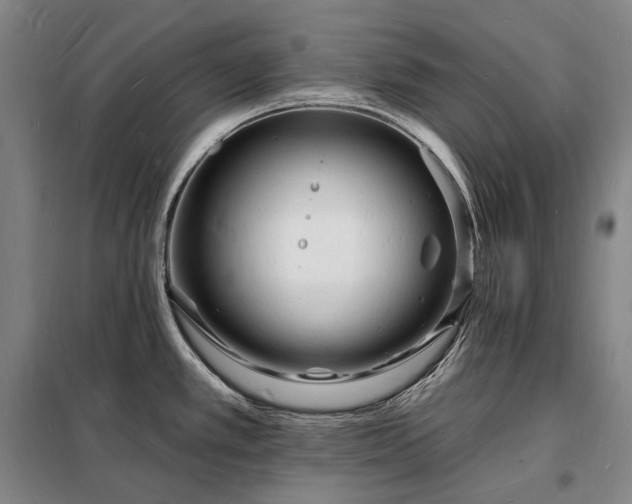 X0000098231389200805011247
