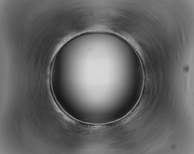 X0000098231390200805011247