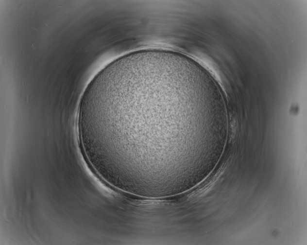 X0000098231391200805011247