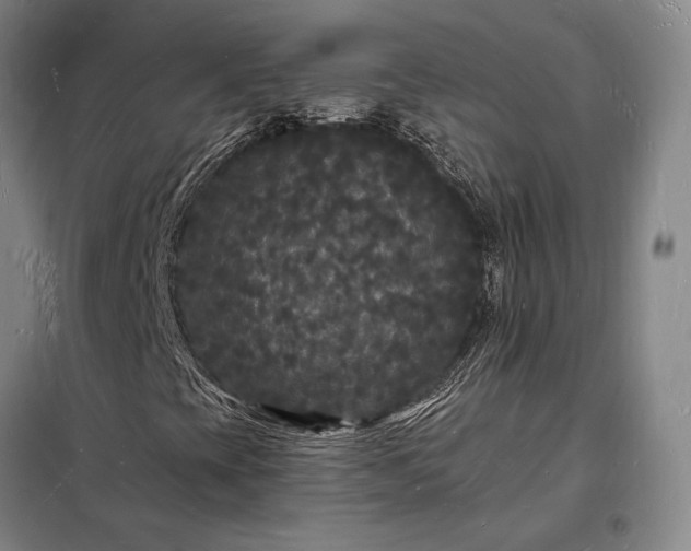 X0000098231393200805011246