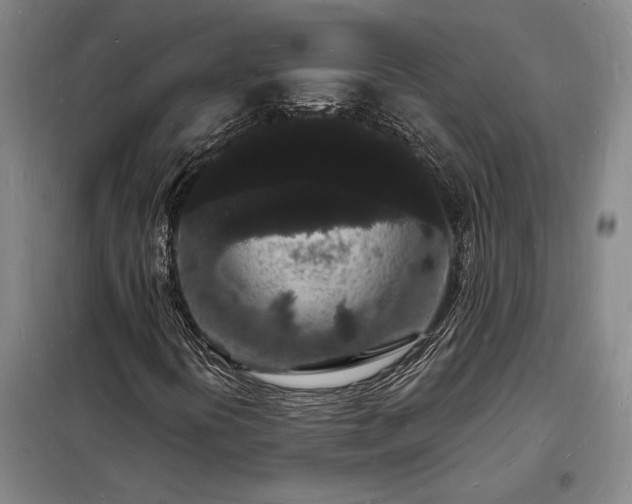 X0000098231394200805011246