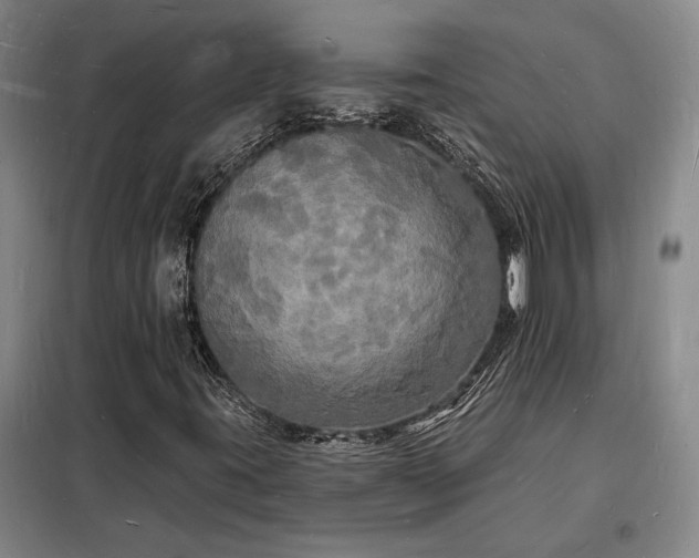 X0000098231395200805011246