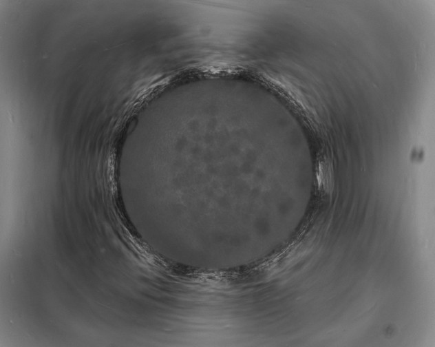 X0000098231396200805011247