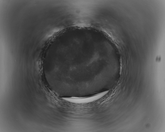 X0000098231398200805011247
