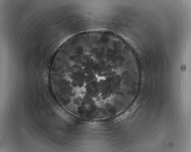 X0000098231401200805011247