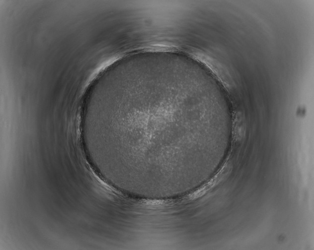X0000098231402200805011247
