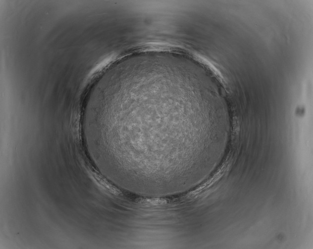 X0000098231403200805011247