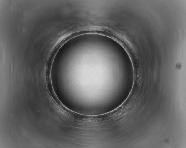 X0000098231404200805011247