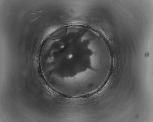 X0000098231405200805011247