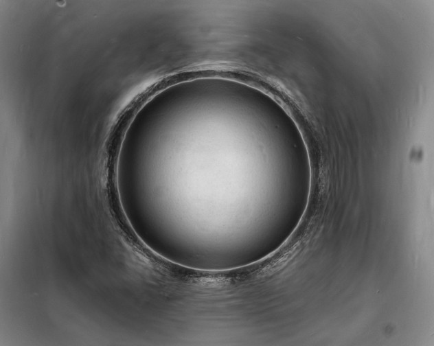 X0000098231406200805011247
