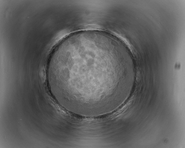 X0000098231407200805011247