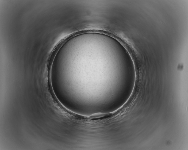 X0000098231408200805011247
