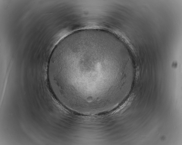 X0000098231409200805011247