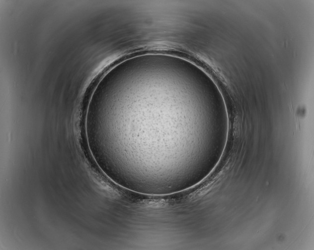 X0000098231410200805011247