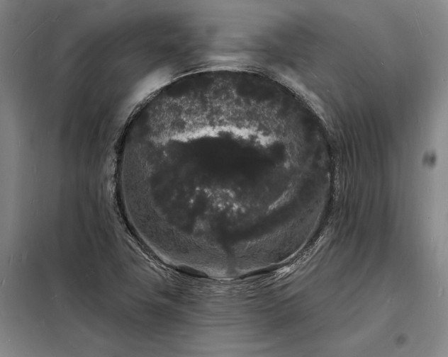 X0000098231411200805011247