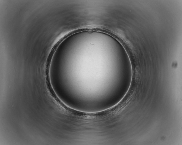 X0000098231412200805011247