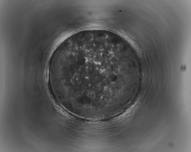 X0000098231413200805011247