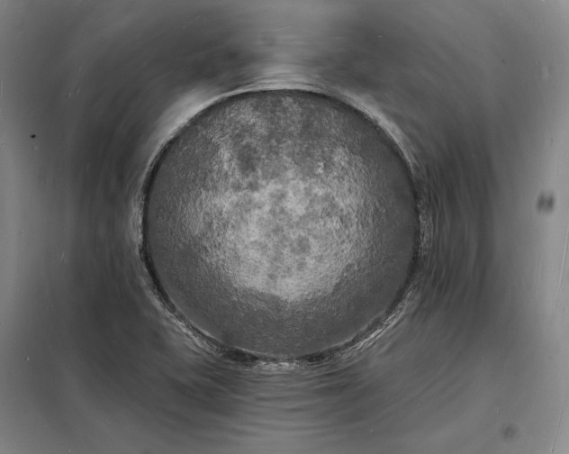 X0000098231415200805011247