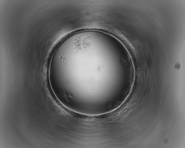 X0000098231416200805011247