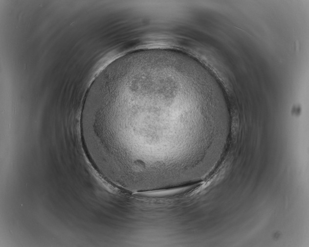 X0000098231417200805011247