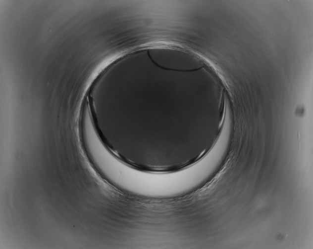 X0000098231418200805011247