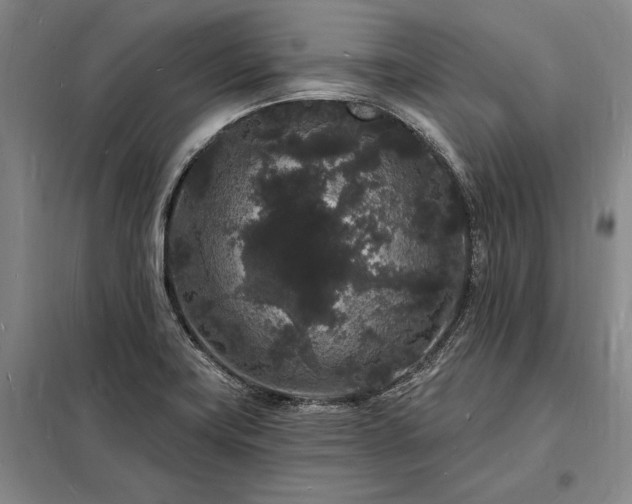 X0000098231419200805011247