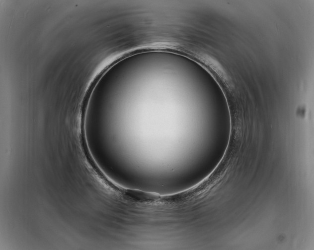 X0000098231420200805011247