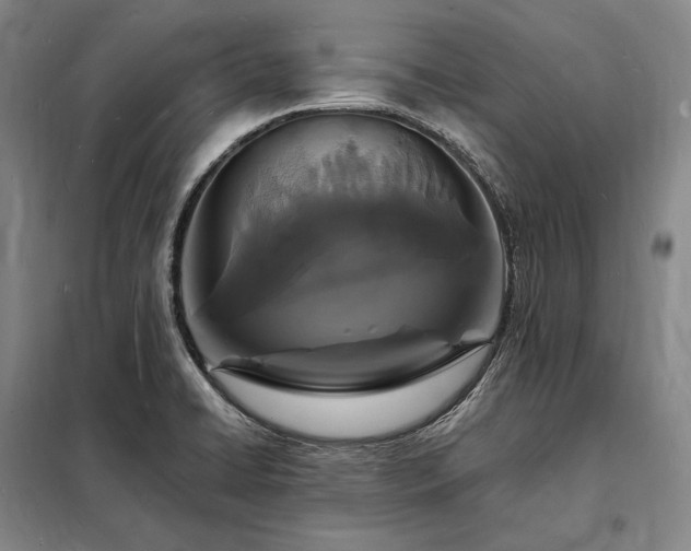 X0000098231422200805011247