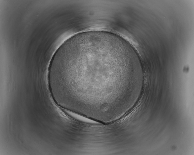 X0000098231423200805011247