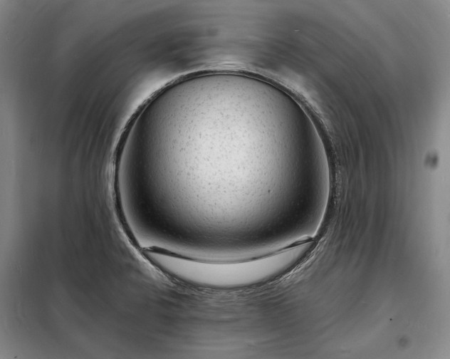 X0000098231424200805011247