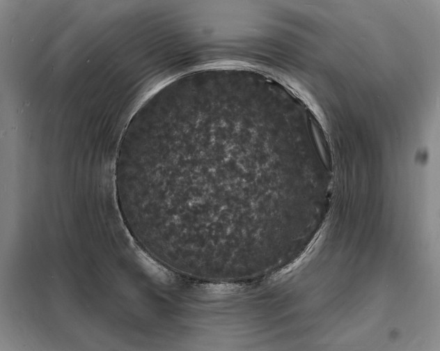 X0000098231425200805011247