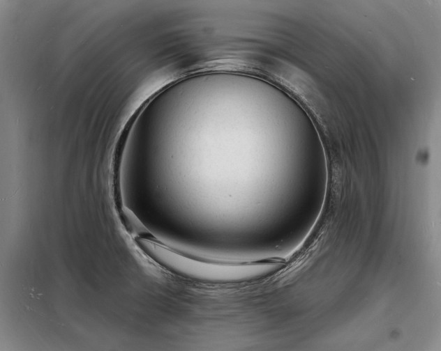 X0000098231426200805011247