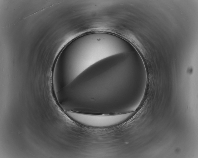 X0000098231428200805011247
