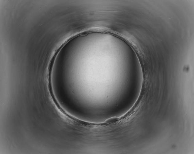 X0000098231430200805011247